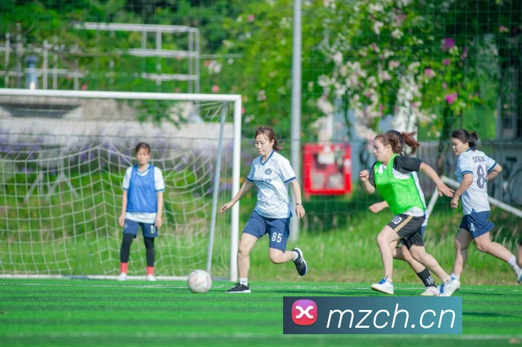 米兰app官方登录入口APP 体育赛事宣传图